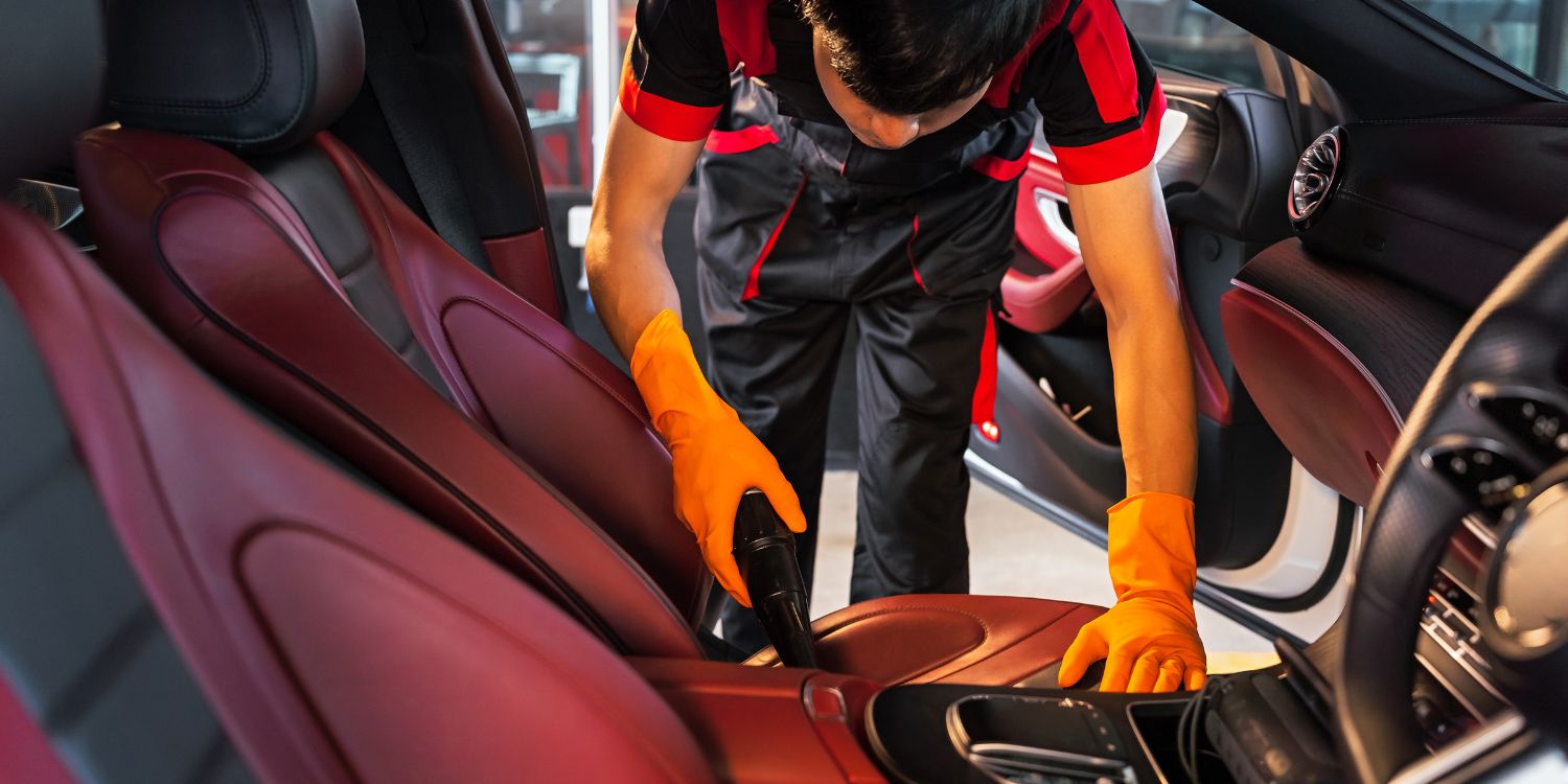 How To Get Mold Out of Car? Causes and Ways of Removal Autogos