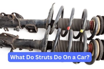 What do struts do on a car